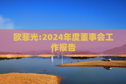 欧菲光:2024年度董事会工作报告