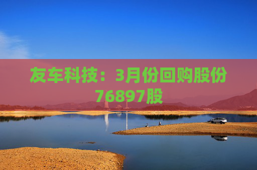 友车科技：3月份回购股份76897股