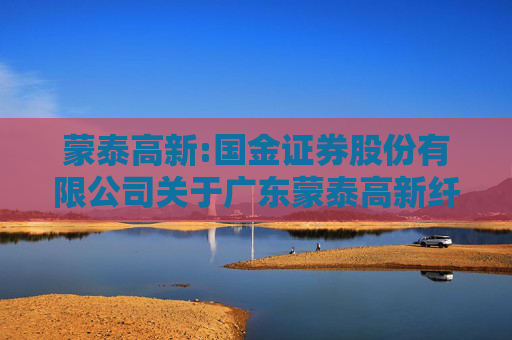 蒙泰高新:国金证券股份有限公司关于广东蒙泰高新纤维股份有限公司2024年度内部控制自我评价报告的核查意见  第1张
