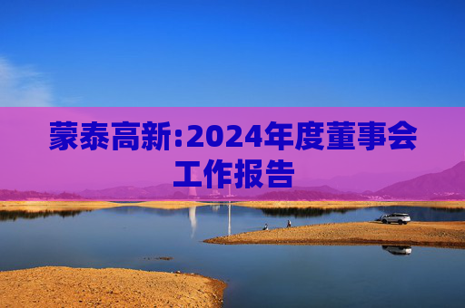 蒙泰高新:2024年度董事会工作报告  第1张