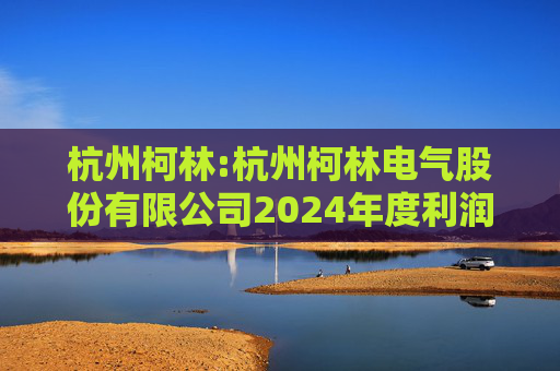 杭州柯林:杭州柯林电气股份有限公司2024年度利润分配及资本公积转增股本预案的公告  第1张