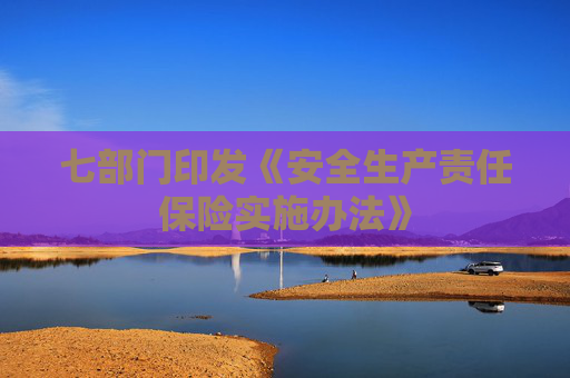 七部门印发《安全生产责任保险实施办法》  第1张