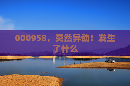 000958，突然异动！发生了什么
