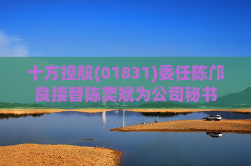 十方控股(01831)委任陈邝良接替陈奕斌为公司秘书  第1张