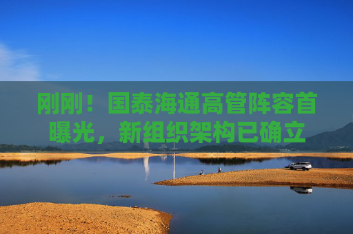 刚刚！国泰海通高管阵容首曝光，新组织架构已确立