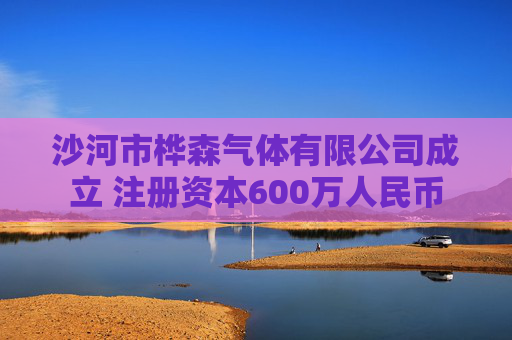 沙河市桦森气体有限公司成立 注册资本600万人民币