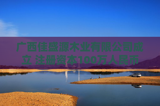 广西佳盛源木业有限公司成立 注册资本100万人民币
