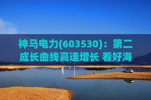 神马电力(603530):第二成长曲线高速增长 看好海外订单持续性 第1张 神马电力(603530):第二成长曲线高速增长 看好海外订单持续性 第1张