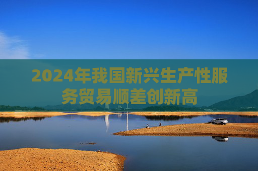 2024年我国新兴生产性服务贸易顺差创新高  第1张