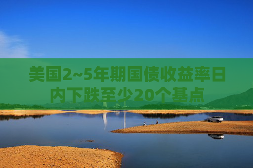 美国2~5年期国债收益率日内下跌至少20个基点  第1张