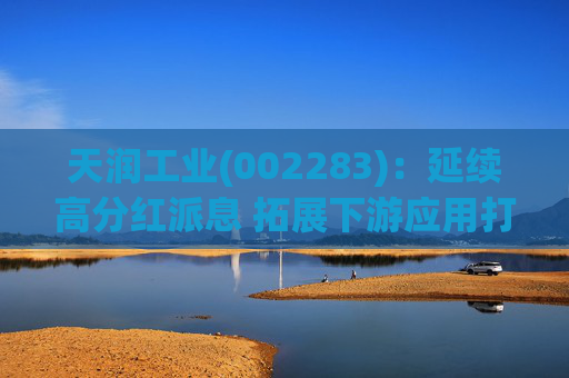 天润工业(002283)：延续高分红派息 拓展下游应用打开成长空间