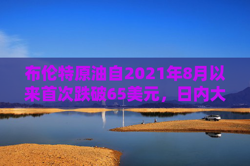 布伦特原油自2021年8月以来首次跌破65美元，日内大跌7.4%，WTI原油日内大跌8%  第1张