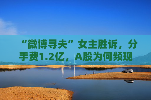 “微博寻夫”女主胜诉，分手费1.2亿，A股为何频现天价离婚案？  第1张