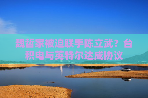 魏哲家被迫联手陈立武？台积电与英特尔达成协议  第1张
