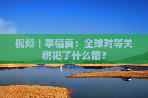 视频丨李稻葵：全球对等关税犯了什么错？  第1张