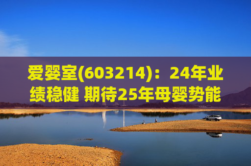 爱婴室(603214)：24年业绩稳健 期待25年母婴势能及万代门店加速  第1张