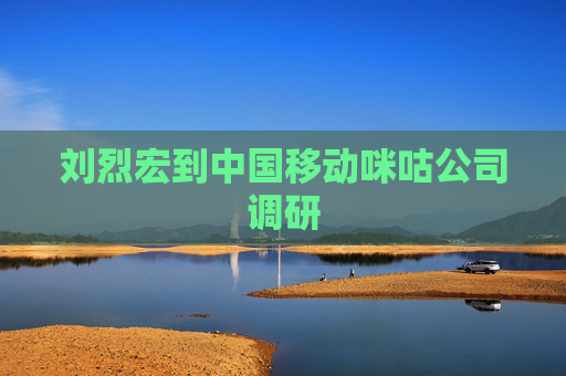 刘烈宏到中国移动咪咕公司调研  第1张