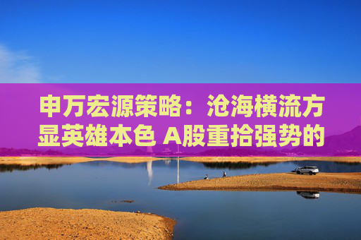 申万宏源策略：沧海横流方显英雄本色 A股重拾强势的三个触发因素  第1张