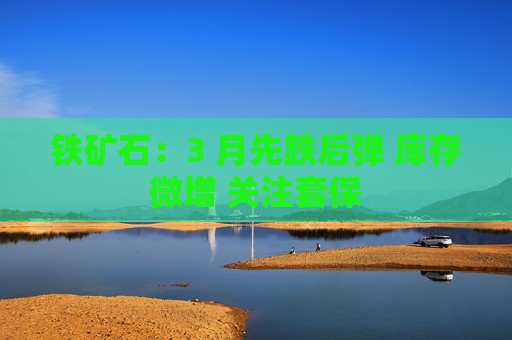 铁矿石：3 月先跌后弹 库存微增 关注套保