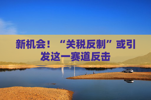 新机会！“关税反制”或引发这一赛道反击