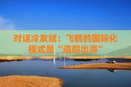 对话冷友斌：飞鹤的国际化模式是“造船出海”