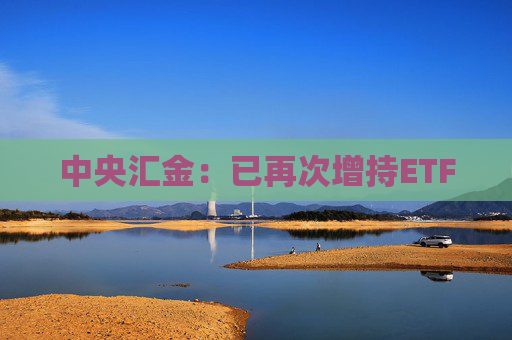 中央汇金：已再次增持ETF  第1张