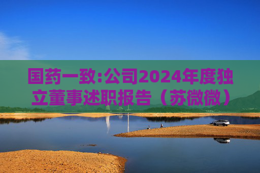 国药一致:公司2024年度独立董事述职报告（苏微微）  第1张