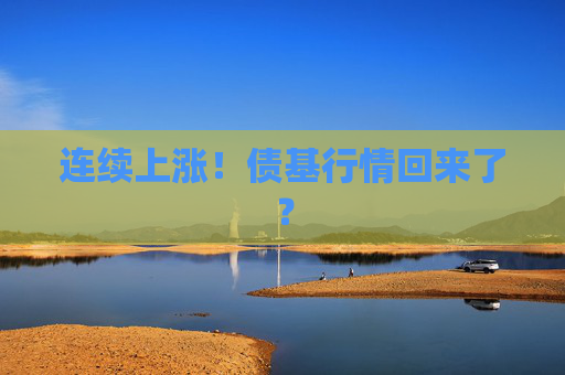 连续上涨！债基行情回来了？