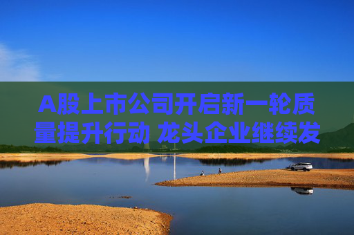 A股上市公司开启新一轮质量提升行动 龙头企业继续发挥“头雁效应”