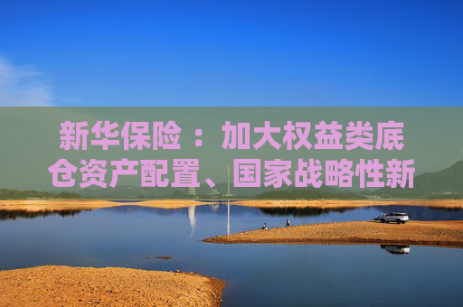 新华保险 ：加大权益类底仓资产配置、国家战略性新兴产业股权投资力度