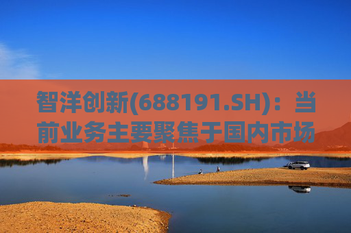 智洋创新(688191.SH)：当前业务主要聚焦于国内市场，尚未形成海外业务  第1张