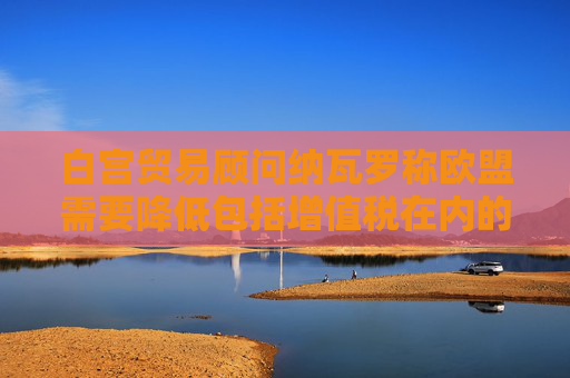 白宫贸易顾问纳瓦罗称欧盟需要降低包括增值税在内的非关税壁垒