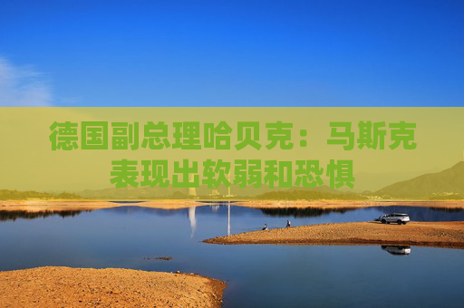 德国副总理哈贝克：马斯克表现出软弱和恐惧  第1张