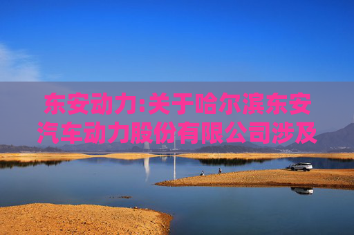 东安动力:关于哈尔滨东安汽车动力股份有限公司涉及财务公司关联交易的存款、贷款等金融业务的专项说明