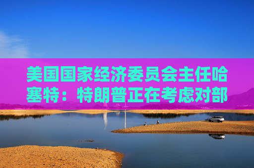 美国国家经济委员会主任哈塞特：特朗普正在考虑对部分国家暂停90天的关税