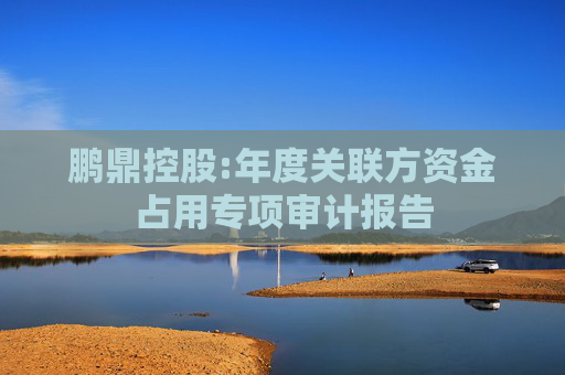 鹏鼎控股:年度关联方资金占用专项审计报告  第1张