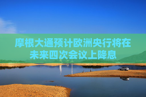 摩根大通预计欧洲央行将在未来四次会议上降息  第1张