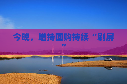 今晚，增持回购持续“刷屏”  第1张