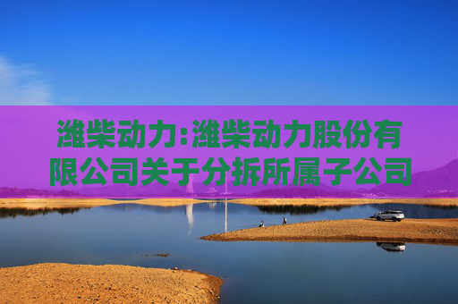 潍柴动力:潍柴动力股份有限公司关于分拆所属子公司潍柴雷沃智慧农业科技股份有限公司至香港联交所主板上市的预案  第1张