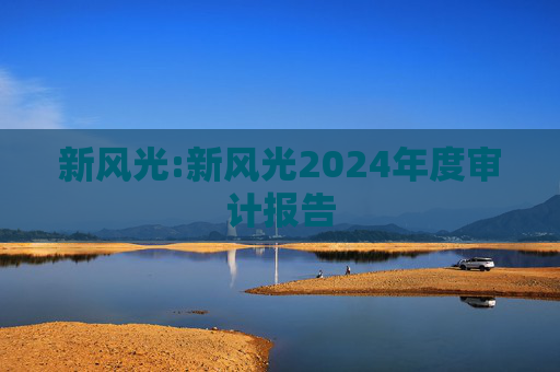 新风光:新风光2024年度审计报告  第1张