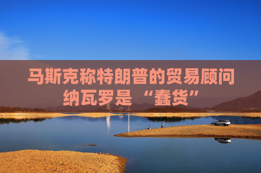 马斯克称特朗普的贸易顾问纳瓦罗是 “蠢货”