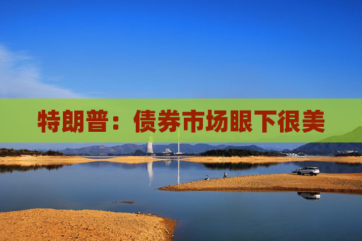 特朗普：债券市场眼下很美