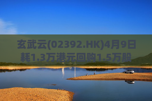 玄武云(02392.HK)4月9日耗1.3万港元回购1.5万股