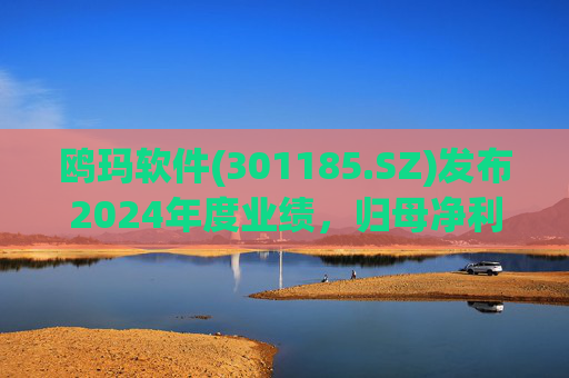 鸥玛软件(301185.SZ)发布2024年度业绩，归母净利润7010.02万元，下降8.35%  第1张