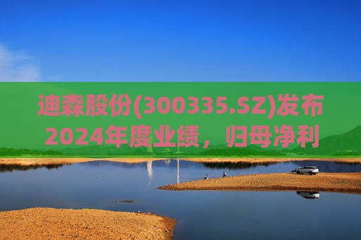 迪森股份(300335.SZ)发布2024年度业绩，归母净利润4853.65万元，下降18.96%  第1张
