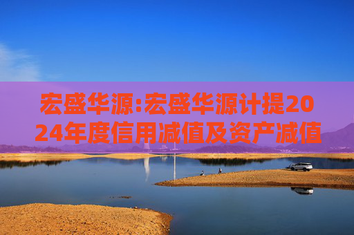 宏盛华源:宏盛华源计提2024年度信用减值及资产减值准备的公告