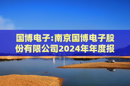 国博电子:南京国博电子股份有限公司2024年年度报告