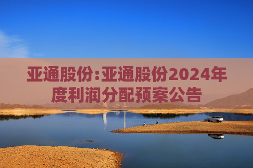 亚通股份:亚通股份2024年度利润分配预案公告