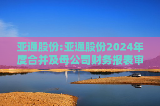 亚通股份:亚通股份2024年度合并及母公司财务报表审计报告书