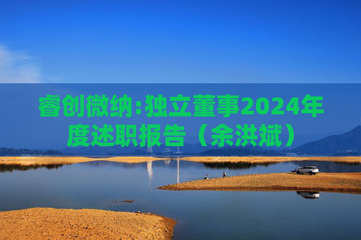 睿创微纳:独立董事2024年度述职报告（余洪斌）